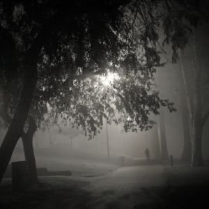 Fog, Echo Park.jpg - Downtown Los Angeles