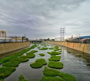 Vernon Bridge  - Down By The River